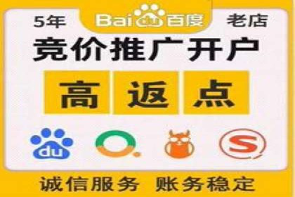 百度SEM广告策略在电商行业的成功案例